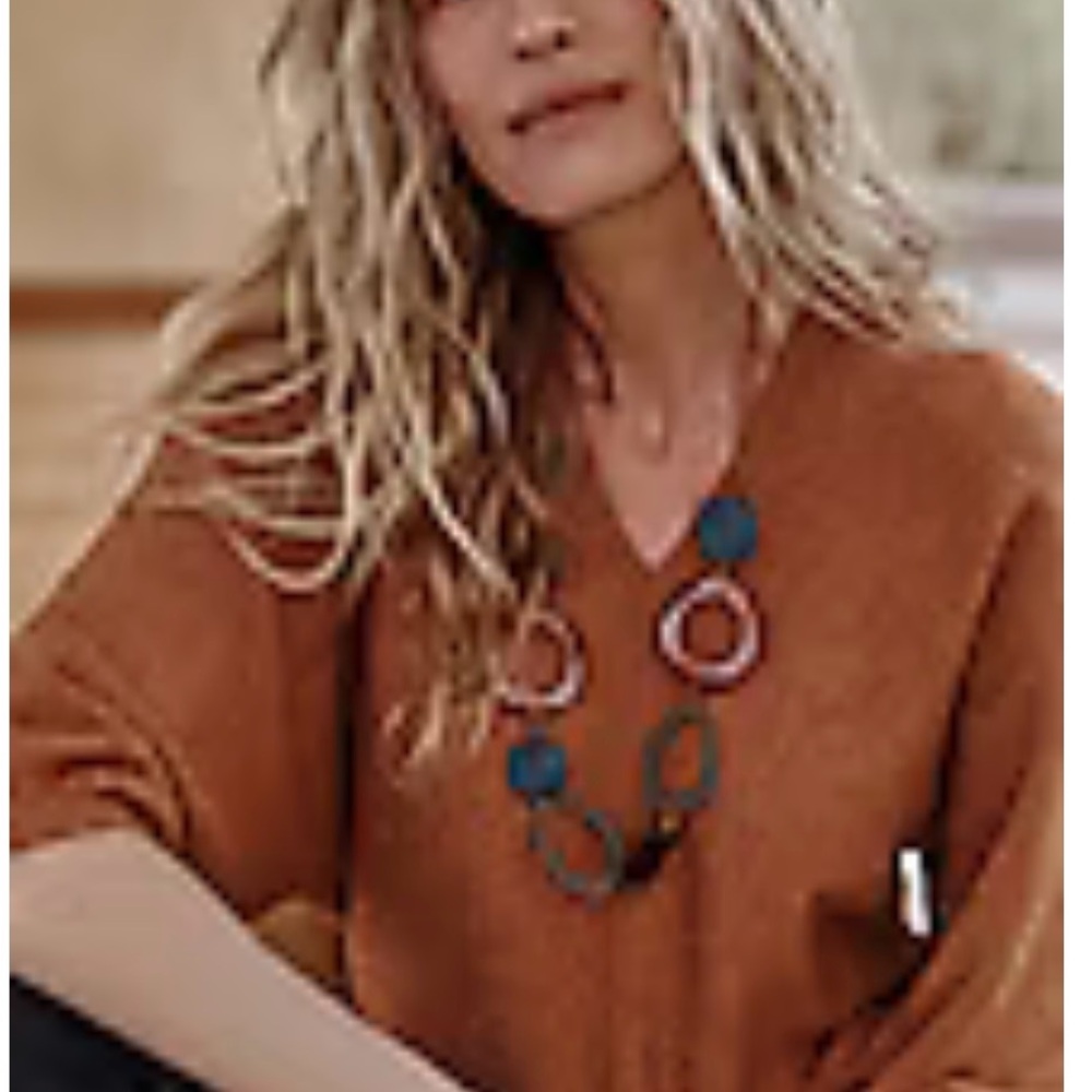 J. Jill Women's V-Neck Sweater in Rust